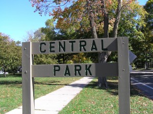 central-park-5